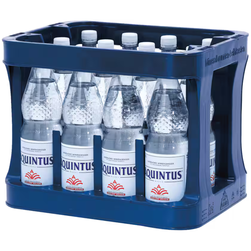 Aquintus Mineralwasser Classic 12x1l (MEHRWEG)