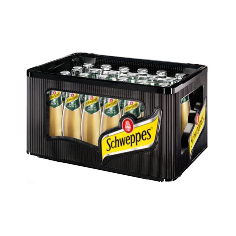 Schweppes American Ginger Ale Kasten 24 x 0,2 l Glas